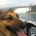 Rainah at Niagara Falls