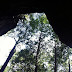 Under the cliff overhang