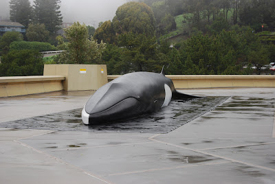 Fail whale at LHS