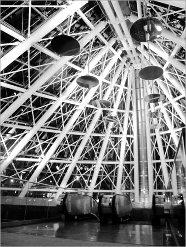 IMG_1230 IMG_1230