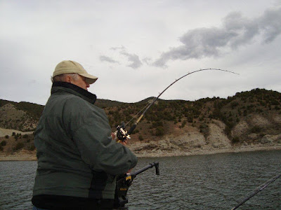 Wallpaper Lake Trout Monty S Trophy Trout Guide Fishing Flaming Gorge 801 430 0232 Desktop Wallpaper