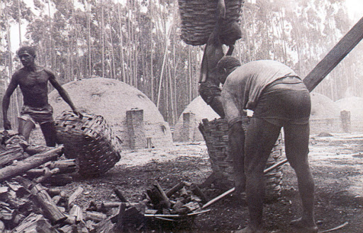 Carvoeiros%20no%20Rio%20Doce%20-%20arquivo%20Vale.jpg