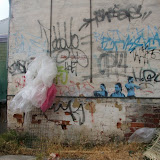 DSCF0445.JPG