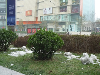 P1030334 P1030334