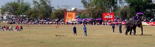 DSC00529 DSC00529