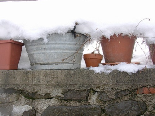 [capodanno01312.jpg]