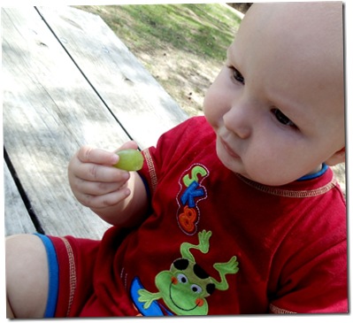 Nikolai eats a grape