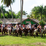 Los caballos en el Rancho La Cueva en El Cedro, Miches, Dominican Republic - http://www.rancholacueva.com