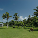 Campo rural en El Cedro, Miches, Dominican Republic - http://www.rancholacueva.com