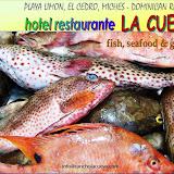 Fish, seafood & grill - Pescados y mariscos frescos en el Restaurant La Cueva - en El Cedro, Miches, Dominican Republic - http://www.rancholacueva.com