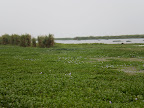 Hamsaladeevi Trip Slideshow slideshow