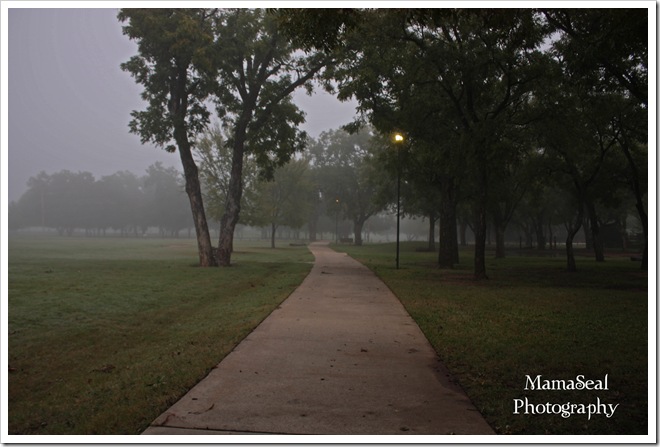 Path Path