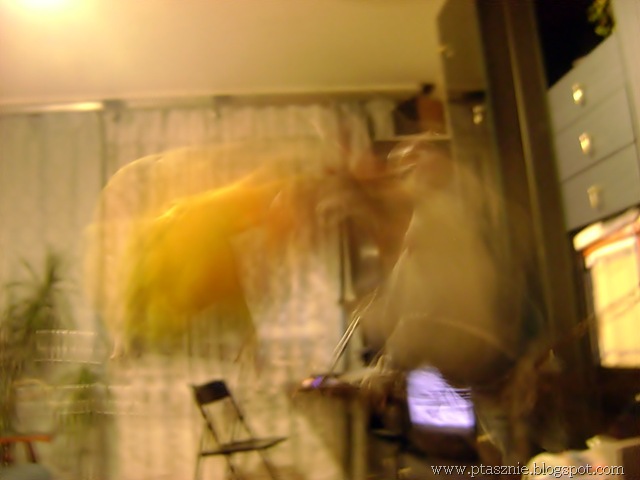 [DSC038843.jpg]