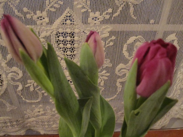 Valentine 059