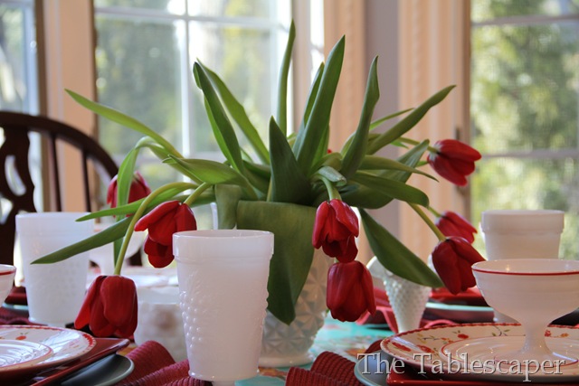 IMG_0077 IMG_0077