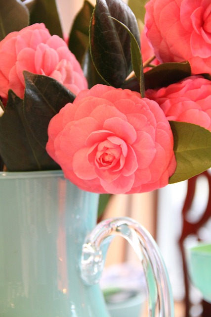 [IMG_0949[6].jpg]