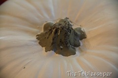 IMG_7184 IMG_7184