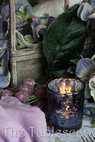 [Midnight-and-Lavender-Garden-0257.jpg]