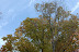 DSC_7737.JPG
