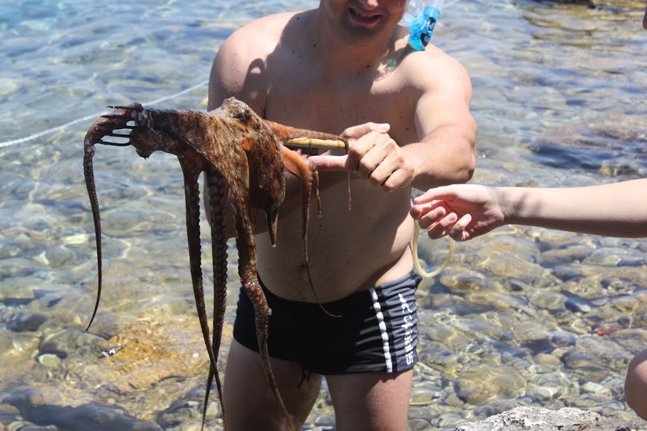 Slika