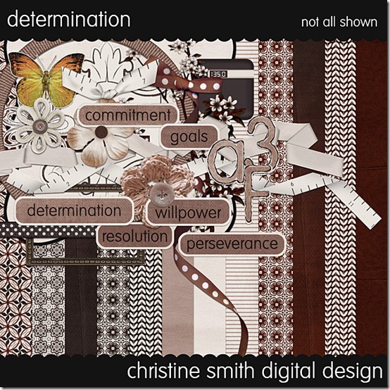 csmith-determination