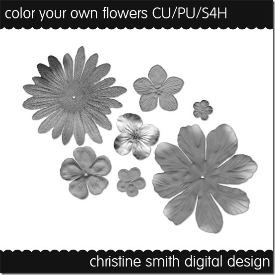 CSmith_CYOFlowersCU550