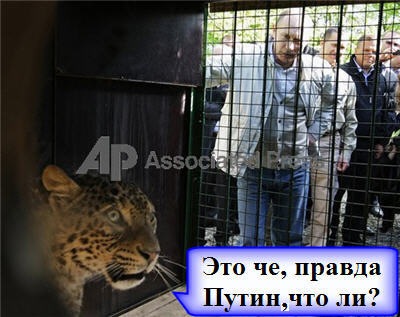 [putin[11].jpg]