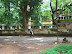 Path to Science Block.jpg