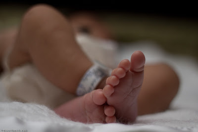 IMAGE: http://lh6.ggpht.com/_nnasDpPljVs/S_7uvNATkxI/AAAAAAAAAZs/a51GTrPBS7g/s400/IMG_2195.jpg