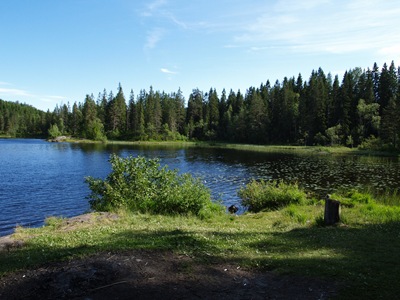 P7040005