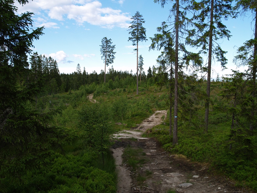 [P7060048[4].jpg]