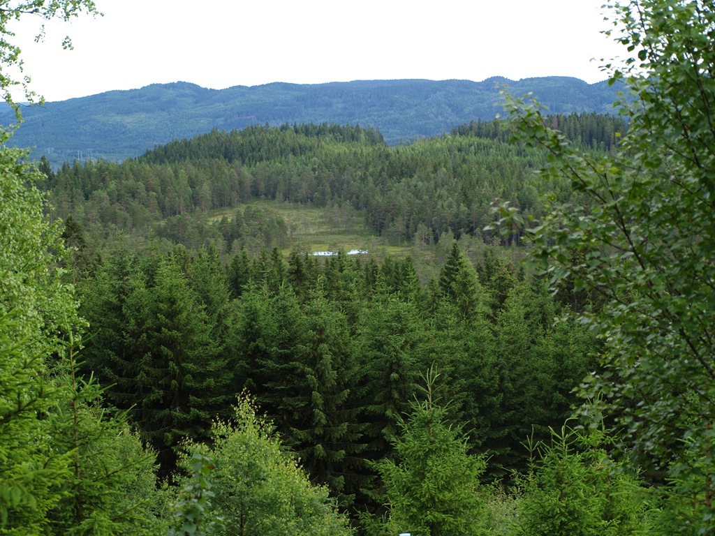 [P7060047[4].jpg]