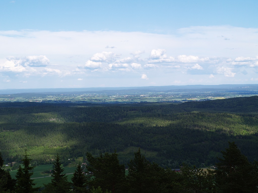 [P7060016[4].jpg]