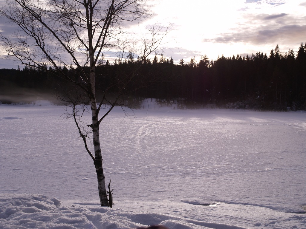 [P1230065[4].jpg]