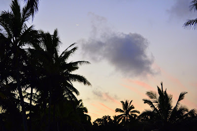 Hawaiian sunset, sillhouetted palms, sliver moon. 