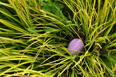 Pink Easter egg waiting in the grass