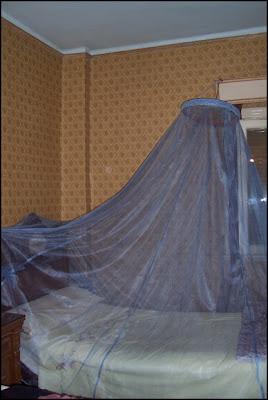 mosquito-net.jpg