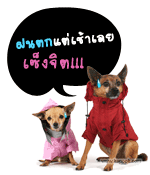 ฝนตกแต่เช้าเลย เซ็งจิต