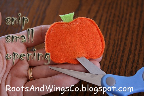 [snip small opening[3].jpg]