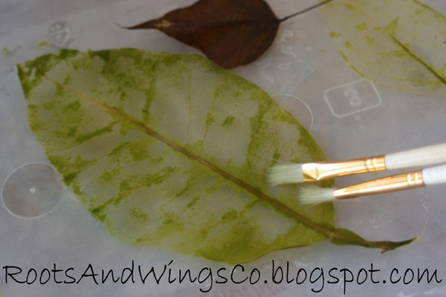 [leafskeletona33.jpg]