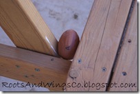 easter egg hunt b easter egg hunt b