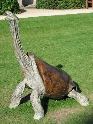 [IMG_0086 Giant Tortoise[2].jpg]