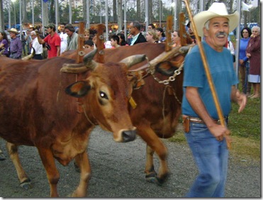 Imagem 126