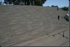 IMG_1726 IMG_1726