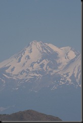 IMG_1500 IMG_1500