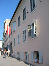 Image 14