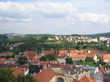 Image 14