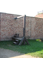 Image 14