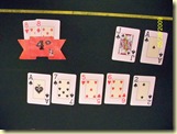 Poker 28.05.09 025