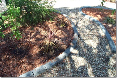 Garden 007